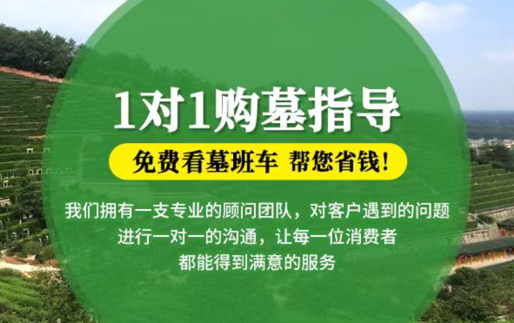 湛江贺州市钟山县祭祀用品的现代替代品有哪些？